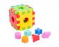 Развивающая игрушка Волшебный куб (39176) 12 эл.